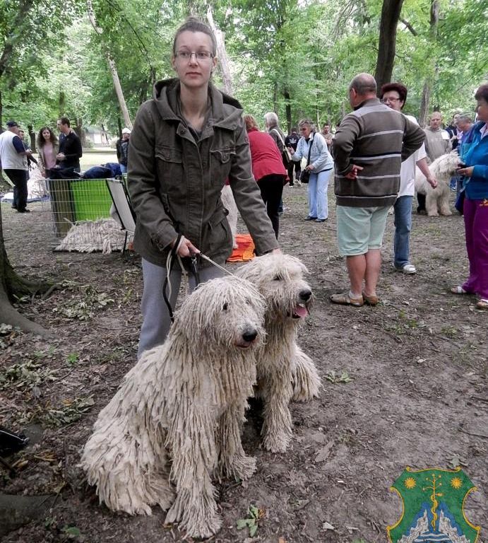 Gasztronómiai Fesztivál/