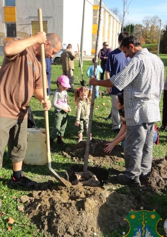 Eresszen gyökeret Ön is Harkányfürdőn!