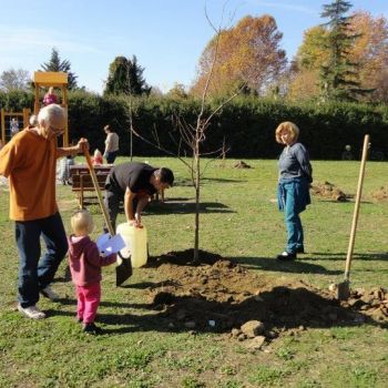 Eresszen gyökeret Ön is Harkányfürdőn!