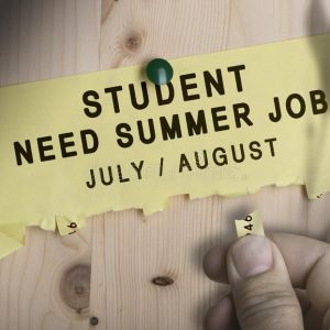 Diákmunka Program 2024