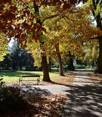 Késő őszi pörgés Harkányfürdőn