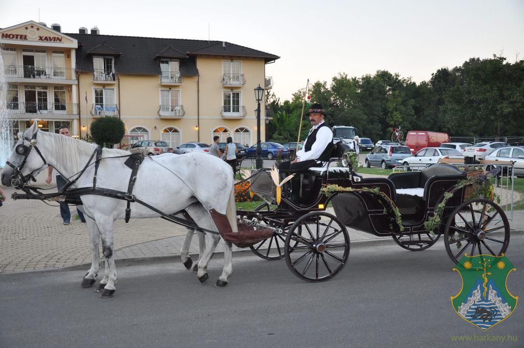XIX. Harkányi Szüreti Fesztivál - újabb képek