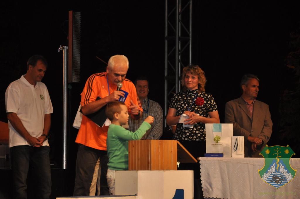 XIX. Harkányi Szüreti Fesztivál - újabb képek