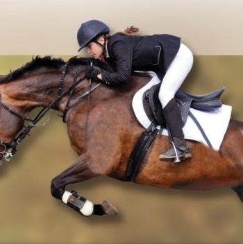 Harkány Gyógyfürdő Kupa - Nemzetközi Díjugrató Bajnokság I. forduló