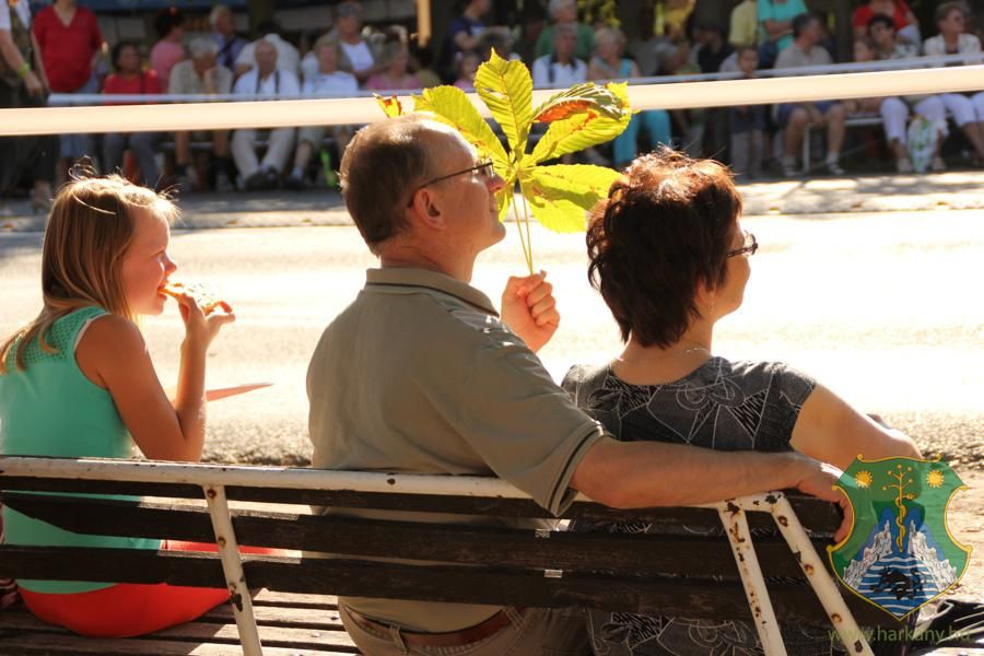 XIX. Harkányi Szüreti Fesztivál