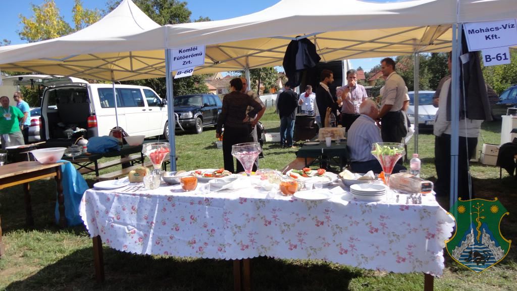 Hangulatképek a XIII. lobbipartiról