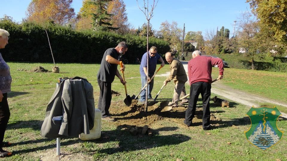 Eresszen gyökeret Ön is Harkányfürdőn!