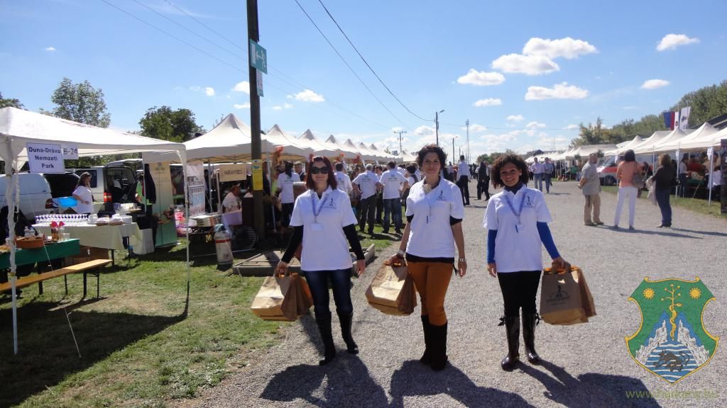 Hangulatképek a XIII. lobbipartiról