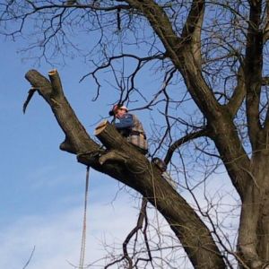 GALLYAZÁSI KIÉRTESÍTŐ