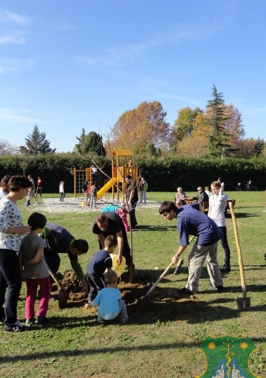 Eresszen gyökeret Ön is Harkányfürdőn!