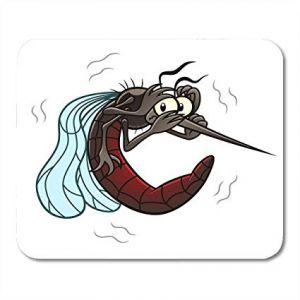 Lakossági tájékoztató a szúnyogok elleni védekezésről