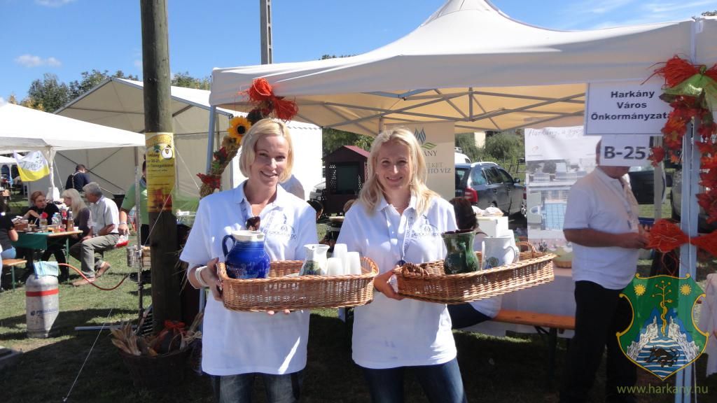 Hangulatképek a XIII. lobbipartiról