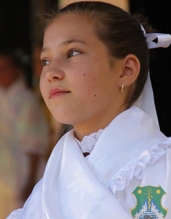 XIX. Harkányi Szüreti Fesztivál