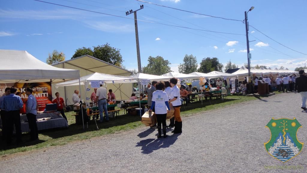 Hangulatképek a XIII. lobbipartiról