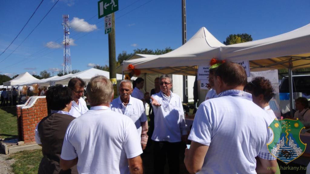 Hangulatképek a XIII. lobbipartiról