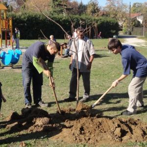 Önkéntes faültetés a harkányi játszótéren