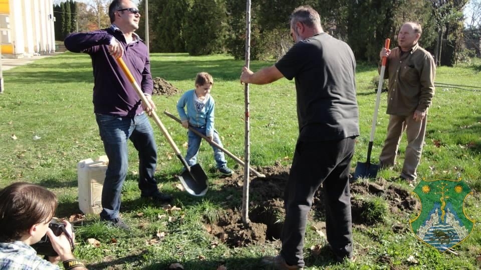 Eresszen gyökeret Ön is Harkányfürdőn!
