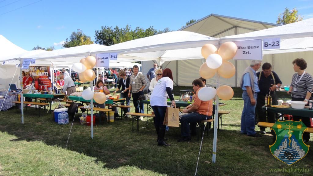 Hangulatképek a XIII. lobbipartiról