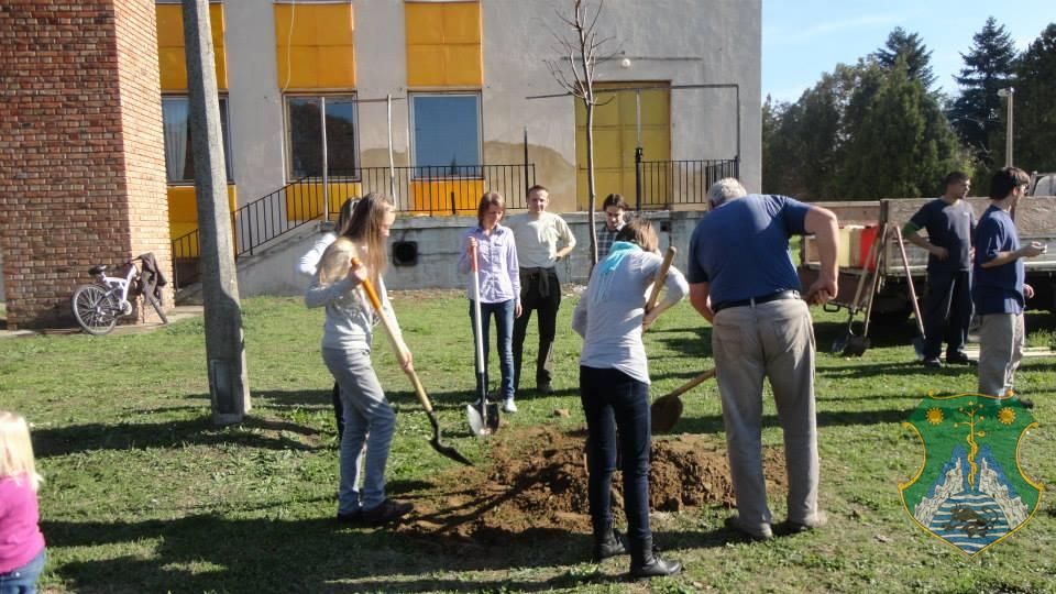 Eresszen gyökeret Ön is Harkányfürdőn!