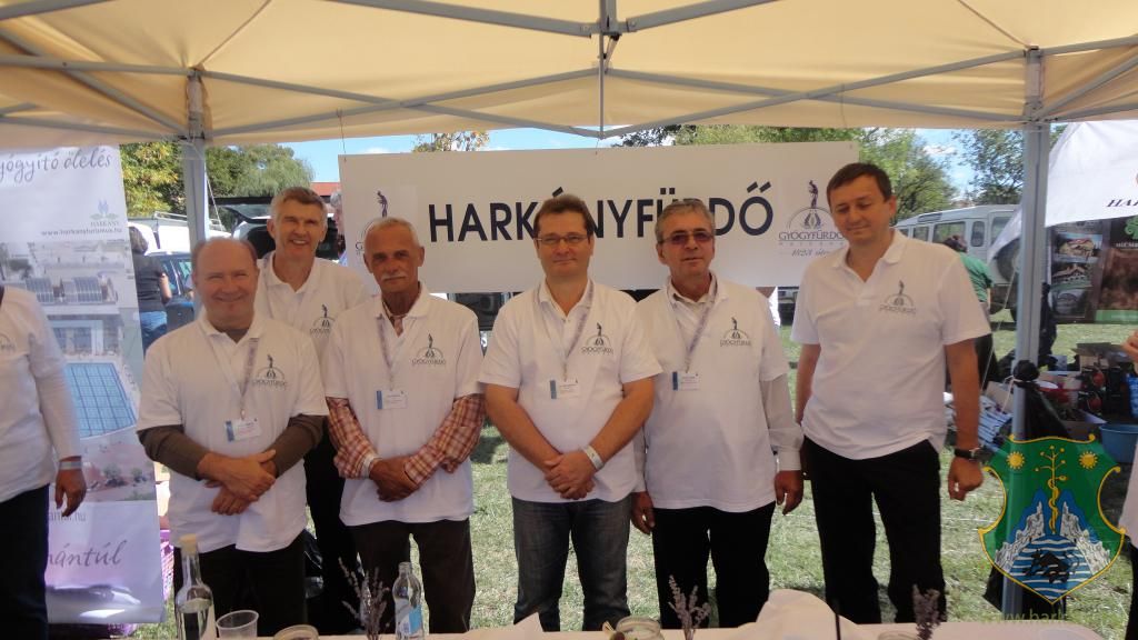 Hangulatképek a XIII. lobbipartiról