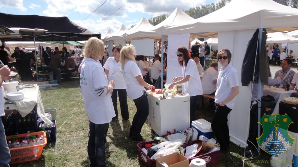 Hangulatképek a XIII. lobbipartiról