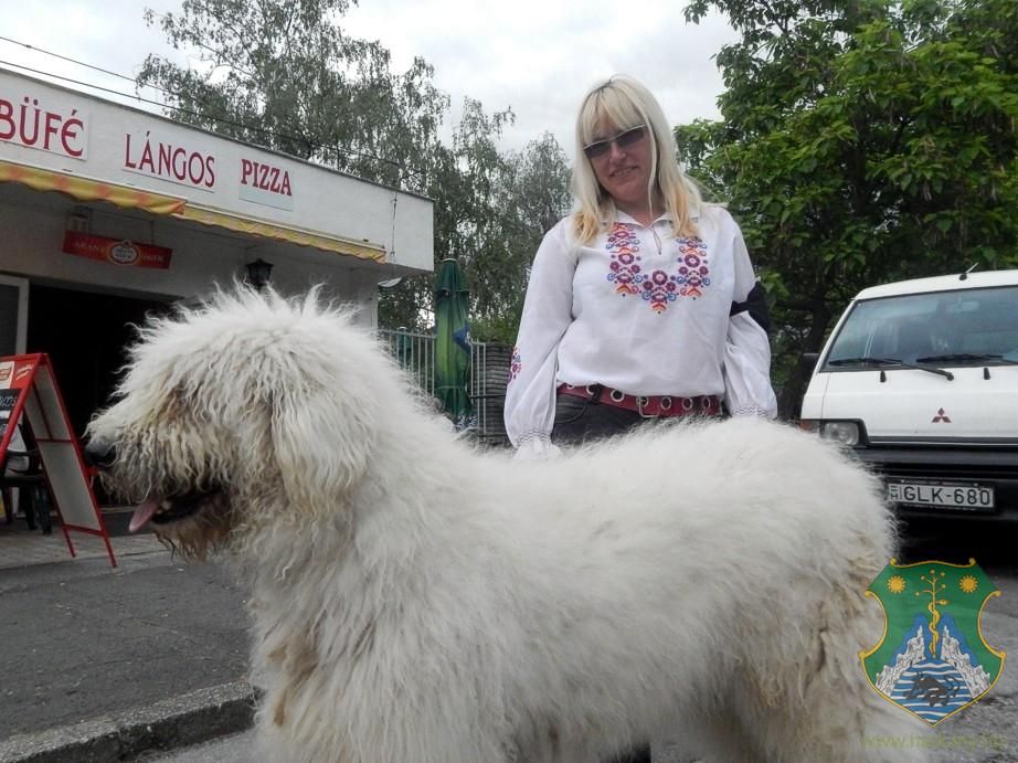 Gasztronómiai Fesztivál/