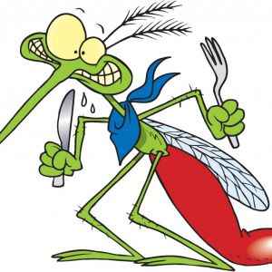 ÉRTESÍTÉS földi-kémiai (melegködös) szúnyoggyérítésről