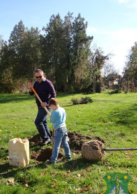 Eresszen gyökeret Ön is Harkányfürdőn!