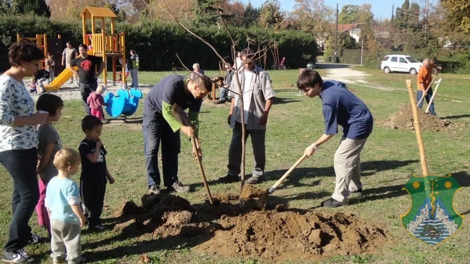 Eresszen gyökeret Ön is Harkányfürdőn!