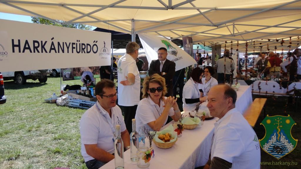 Hangulatképek a XIII. lobbipartiról