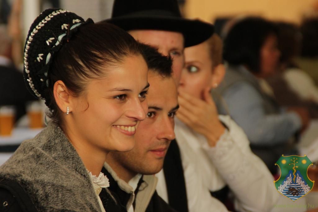 Harkányi Sörfesztivál