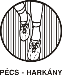 31. Pécs-Harkány országúti futóverseny