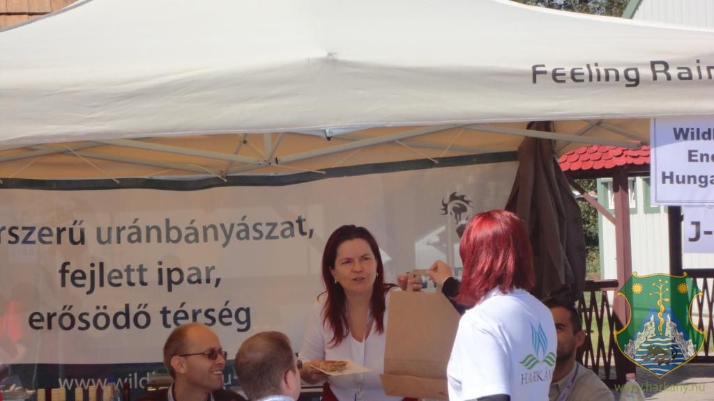 Hangulatképek a XIII. lobbipartiról