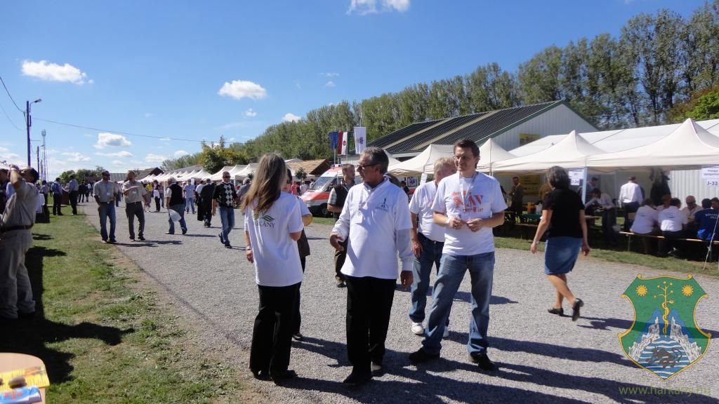 Hangulatképek a XIII. lobbipartiról