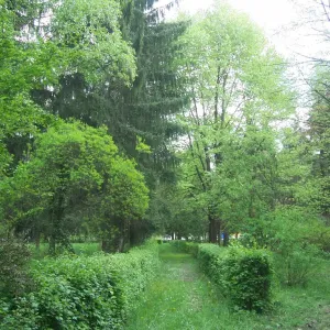 LAKOSSÁGI TÁJÉKOZTATÁS a „HARKÁNYI ARBORÉTUM ZÖLDTERÜLETEINEK REKONSTRUKCIÓJA, AKTÍV REKREÁCIÓS TERÜLETEK KIALAKÍTÁSA” TOP PLUSZ 1.2.1 1-21 BA 1-2022-00027 c. projekt kapcsán
