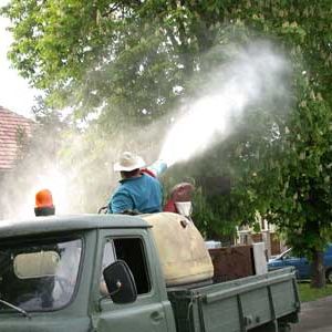 LAKOSSÁGI TÁJÉKOZTATÁS gesztenye- és platánfák permetezéséről
