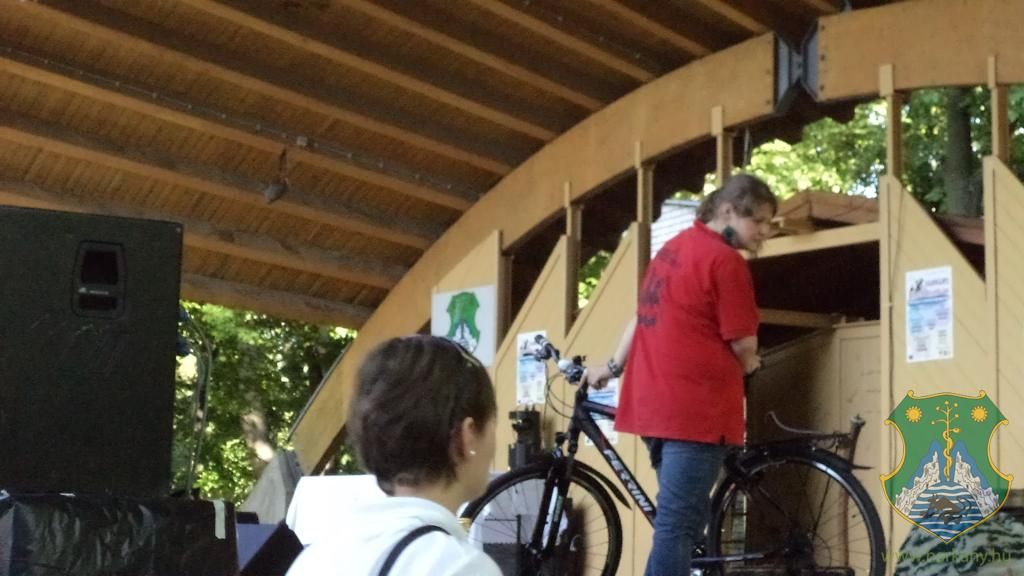 2013. évi Gasztronómiai Fesztivál