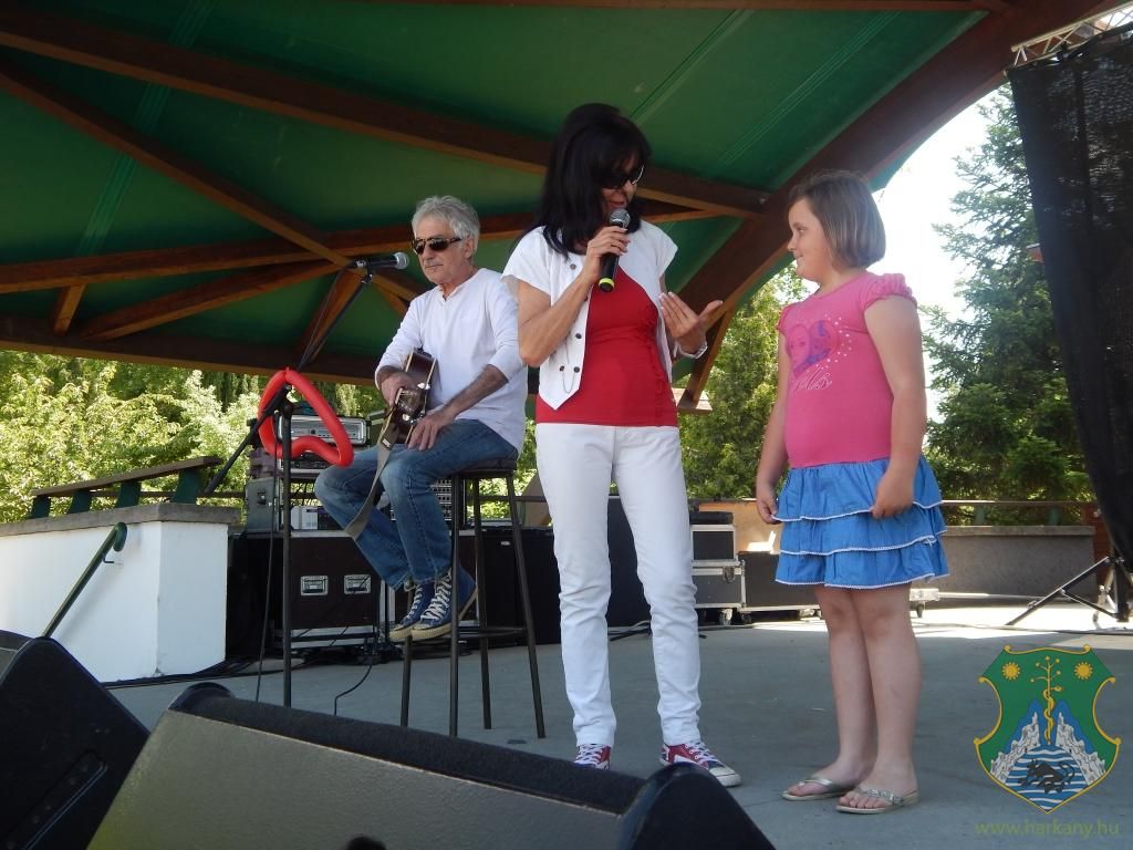 Gasztronómiai Fesztivál/