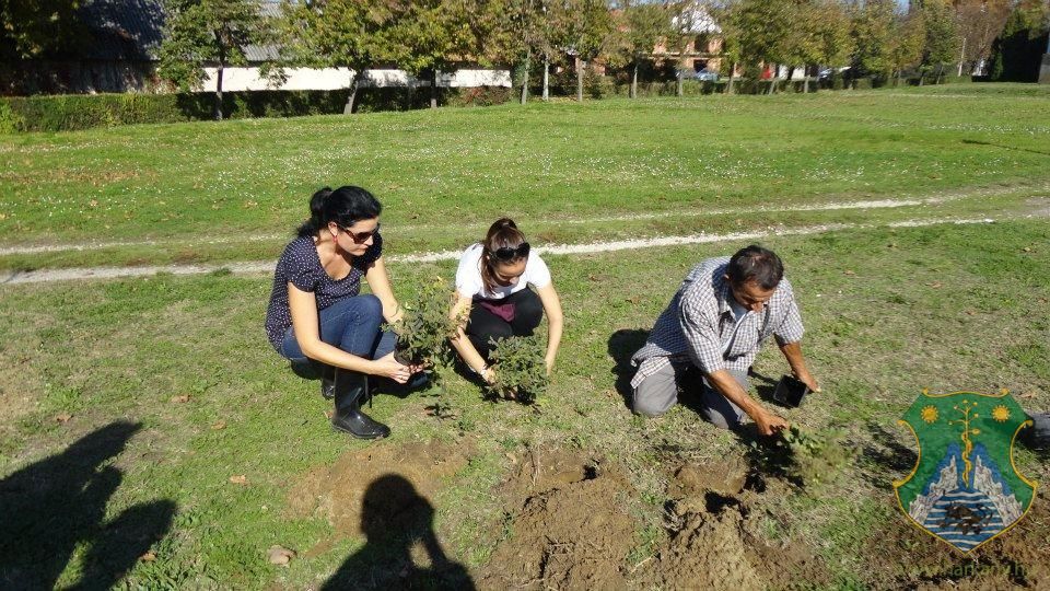 Eresszen gyökeret Ön is Harkányfürdőn!