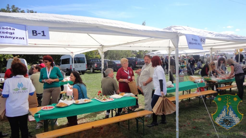 Hangulatképek a XIII. lobbipartiról