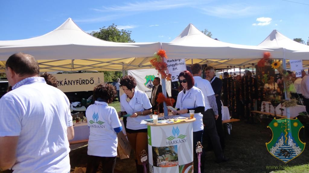 Hangulatképek a XIII. lobbipartiról