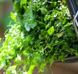 2014. évi zöldulladék-gyűjtési időpontok