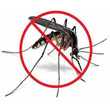 ÉRTESÍTÉS földi-kémiai szúnyoggyérítésről