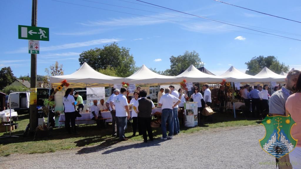 Hangulatképek a XIII. lobbipartiról