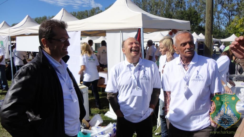 Hangulatképek a XIII. lobbipartiról