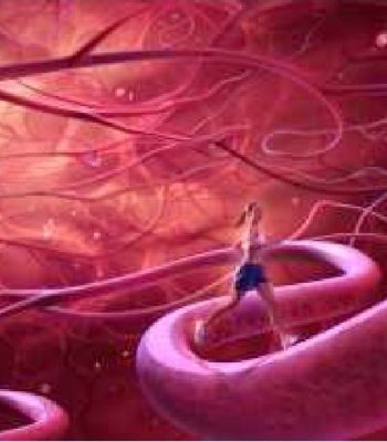 Szomatodráma előadás a harkányi Művelődési Házban